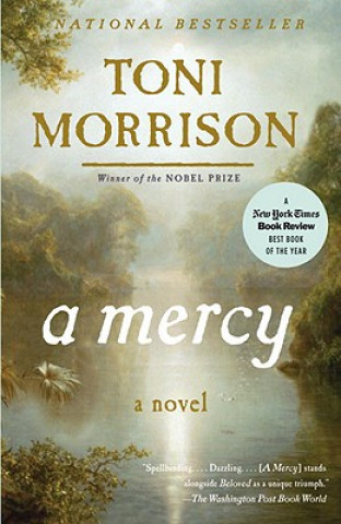 Βιβλίο Mercy Toni Morrison