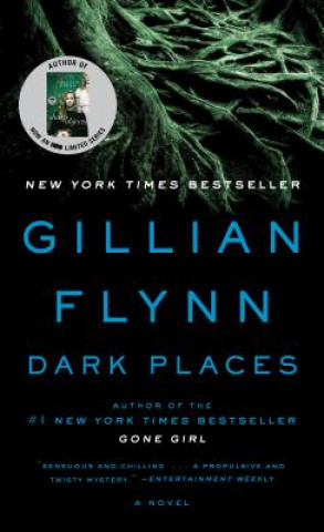 Knjiga Dark Places Gillian Flynn