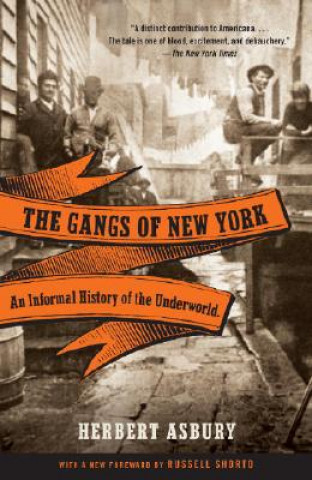 Könyv The Gangs of New York Herbert Asbury