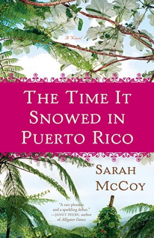Kniha The Time It Snowed in Puerto Rico Sarah McCoy