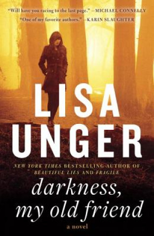 Könyv Darkness, My Old Friend Lisa Unger