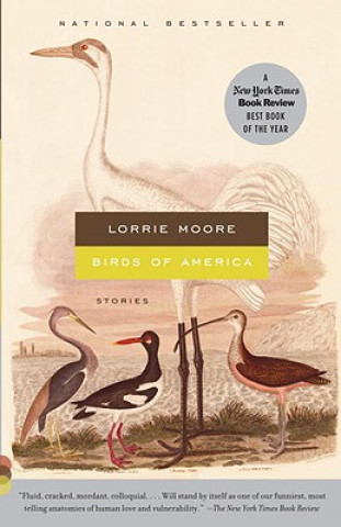 Книга Birds of America Lorrie Moore