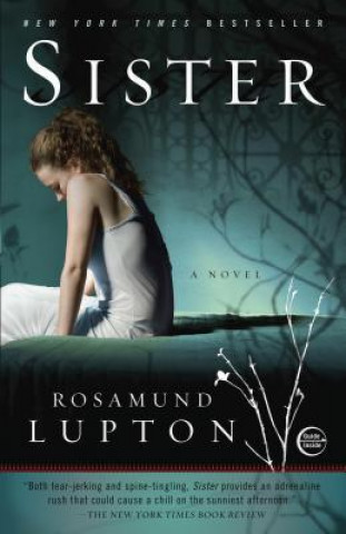 Kniha Sister Rosamund Lupton