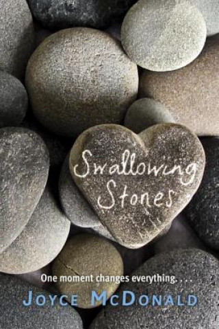 Book Swallowing Stones Joyce McDonald