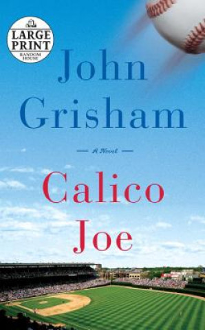 Knjiga Calico Joe John Grisham