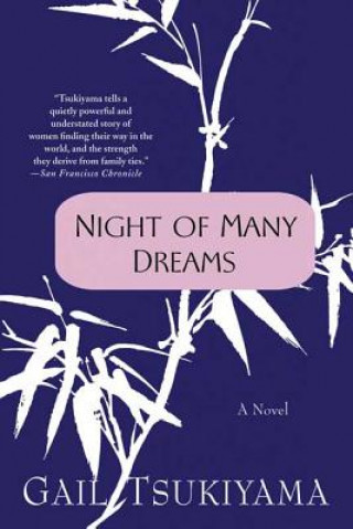 Buch Night of Many Dreams Gail Tsukiyama