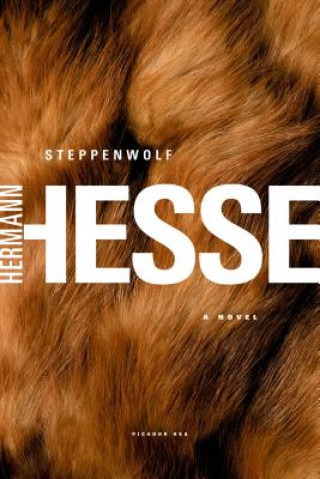 Kniha Steppenwolf Hermann Hesse