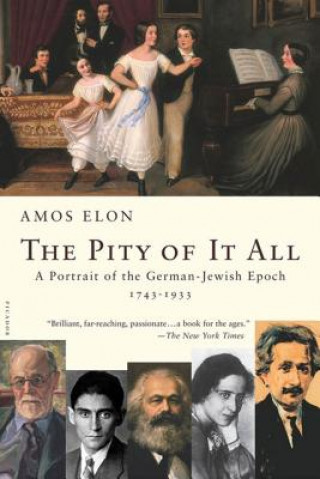 Book PITY OF IT ALL Amos Elon