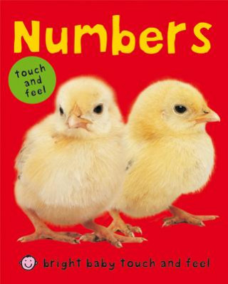 Carte BRIGHT BABY TOUCH & FEEL NUMBERS Priddy Books