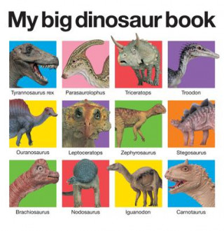 Książka My Big Dinosaur Book Priddy Bicknell Books