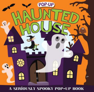 Book POPUP SURPRISE HAUNTED HOUSE Sarah Powell