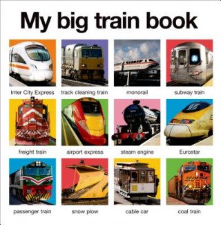 Kniha MY BIG TRAIN BOOK Kimberley Faria