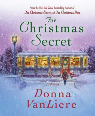 Könyv Christmas Secret Donna Vanliere