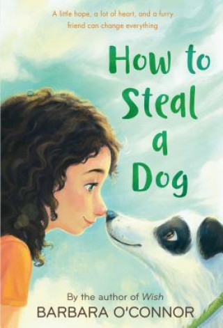 Książka HOW TO STEAL A DOG Barbara O'Connor