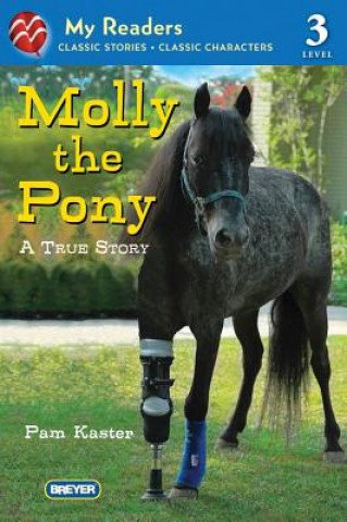 Knjiga Molly the Pony Pam Kaster