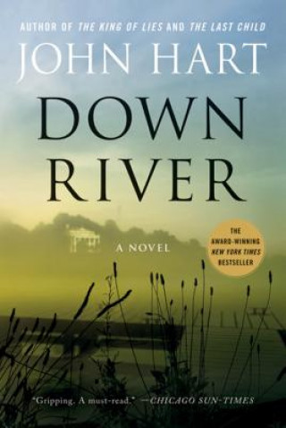 Kniha Down River John Hart