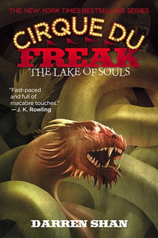 Könyv The Lake of Souls Darren Shan