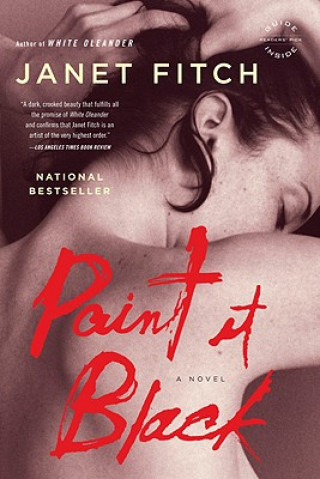 Buch Paint It Black Janet Fitch