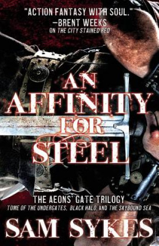 Könyv Affinity for Steel Sam Sykes