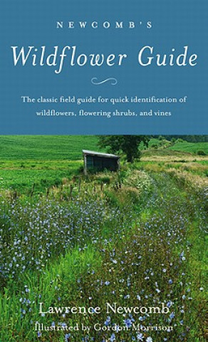 Carte Newcomb's Wildflower Guide Lawrence Newcomb