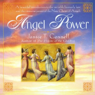 Kniha Angel Power Janice T. Connell