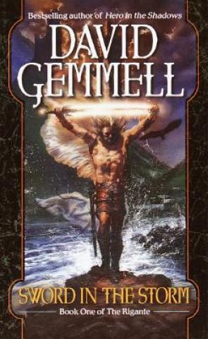 Kniha The Sword in the Storm David Gemmell