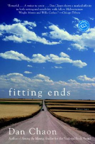 Книга Fitting Ends Dan Chaon