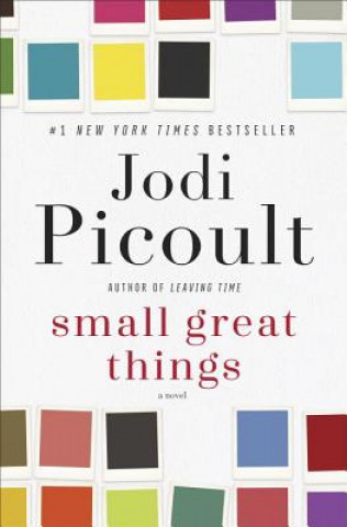 Könyv Small Great Things Jodi Picoult