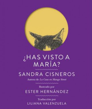 Knjiga Has visto a María? / Have you seen Mary? Sandra Cisneros