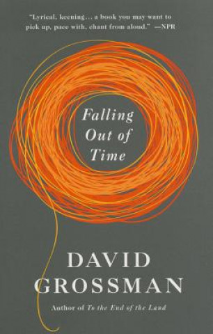 Kniha Falling Out of Time David Grossman