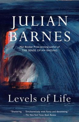 Kniha Levels of Life Julian Barnes