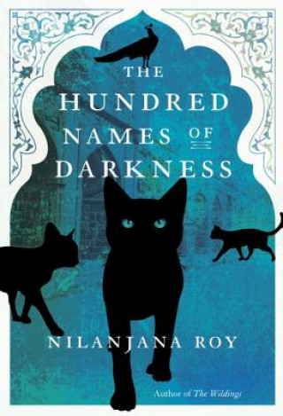 Kniha The Hundred Names of Darkness Nilanjana Roy