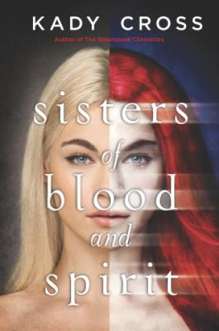 Knjiga Sisters of Blood and Spirit Kady Cross