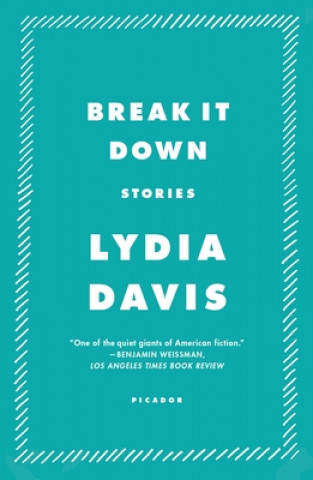 Kniha Break It Down Lydia Davis