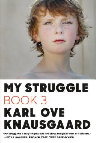 Kniha MY STRUGGLE BOOK 3 Karl Ove Knausgaard