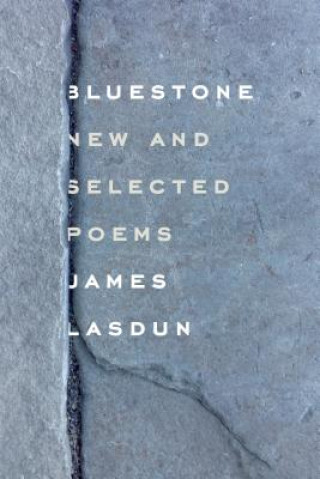 Kniha Bluestone James Lasdun