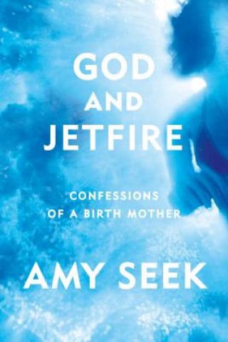 Kniha God and Jetfire Amy Seek