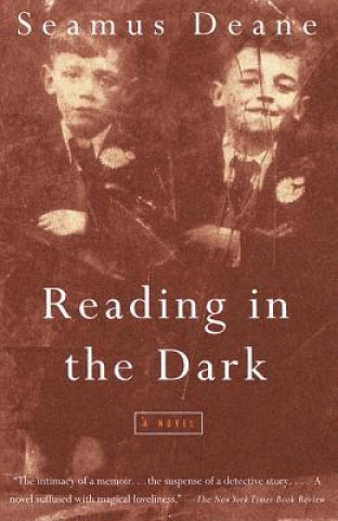 Könyv Reading in the Dark Deane Seamus