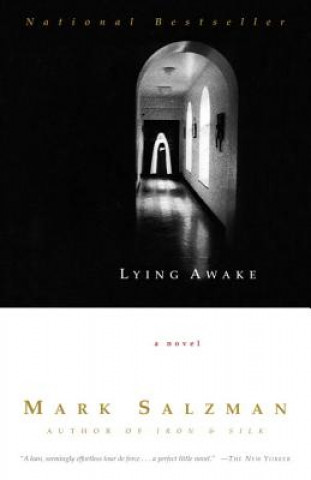 Kniha Lying Awake Mark Salzman