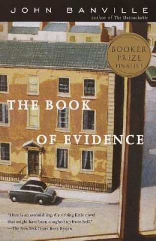 Kniha The Book of Evidence John Banville
