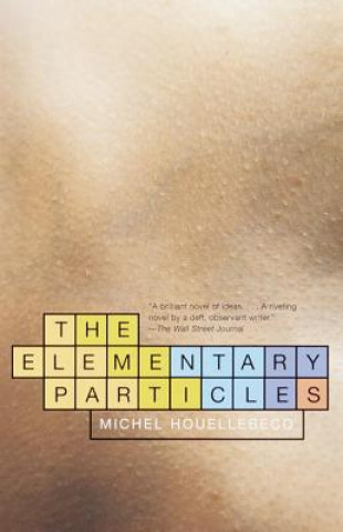 Könyv The Elementary Particles Michel Houellebecq