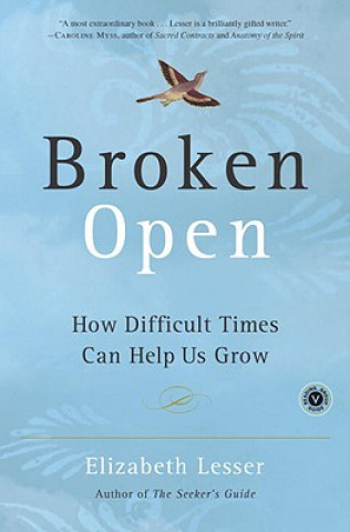 Kniha Broken Open Elizabeth Lesser