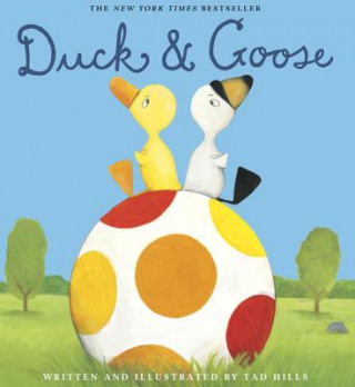 Kniha Duck & Goose Tad Hills