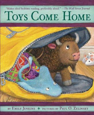 Könyv Toys Come Home Emily Jenkins