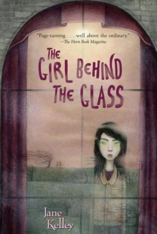 Book Girl Behind the Glass Jane Kelley