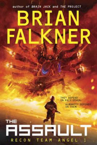 Kniha The Assault Brian Falkner
