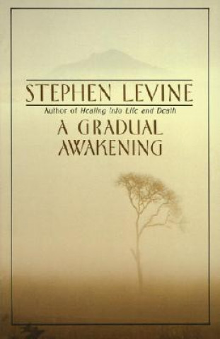 Carte A Gradual Awakening Stephen Levine