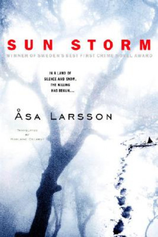 Książka Sun Storm Asa Larsson