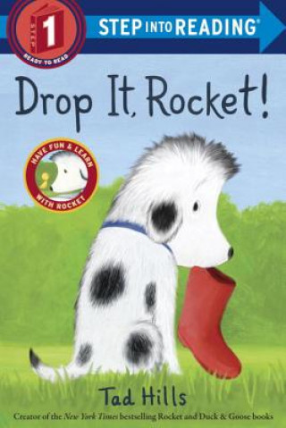 Livre Drop It, Rocket Tad Hills