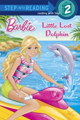 Kniha Little Lost Dolphin Kristen L. Depken